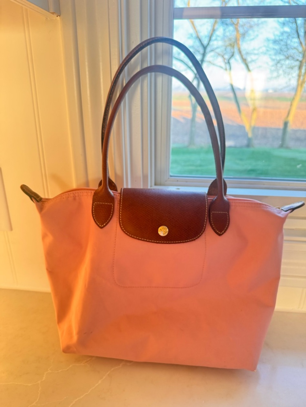 Longchamp Light Pink Tote with Brown Leather Trim